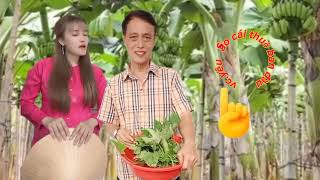 Tân cổ giao duyên yêu sao cái thuở ban đầu