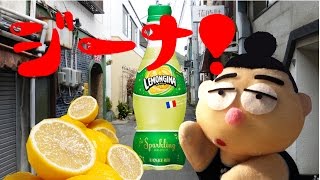 レモンジーナとオランジーナ  LEMONGINA \u0026 ORANGINA