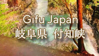 【穴場スポット】Gifu Tsukechi Gorge(Waterfall) 岐阜県にある付知峡。大迫力の滝です。#gifujapan #岐阜県 #岐阜県付知峡