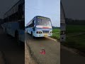 💥tnstc bus அசுர வேகத்தில் பின்னாடியே சென்றது💙🚍 shortvideo hornsound reversevideo bus trending