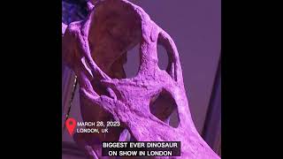 Biggest ever dinosaur on show in London