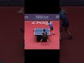 Koki Niwa SO GOOD HE DOESN'T NEED A RACKET! #shorts #tabletennis