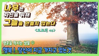 고도원 🌳 행복! 당신이 지금 가지고 있는것