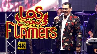 Los Flamers  -  Flamazos De Exitos en vivo 4K