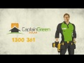 captain green solar australia s leading solar company