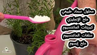 محلول سحري لتسريع نمو النباتات والاشجار الملح الإنجليزي (بالإنجليزية: Epsom salt)