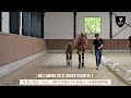 NR 32 - DELL'AMORE VR ST HUBERTUSHOEVE Z (Don't Touch Tiji Hero Z x Winningmood)