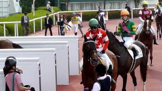 レッドデセーオ　in 阪神競馬場　at　2012.6.2.