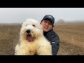 被主人扔在停車場遍體鱗傷的古牧，在豪雨中哀嚎，被救後逆襲狗生