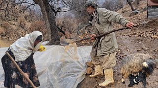 Iran nomadic life: Jahangir's efforts to save his sheep from the winter rain in the mountains