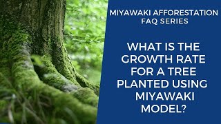 What is the rate of growth for a tree planted using Miyawaki model? | FAQ Series | Qn No.4