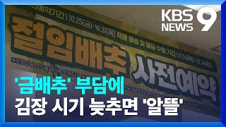 절임 배추·포장김치까지 판매 ‘쑥’…“김장 늦추는 것도 대안” [9시 뉴스] / KBS  2024.10.25.