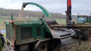 Holzhacker Jenz Hackschnitzel #video #viral #nature #machine #workout #funny #fendt #tractor #s