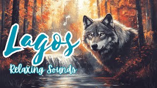 🌿 Stop Overthinking - Calm Nature Music for Stress Relief, Mindful Escapes, Peaceful Mind 🌿 |