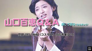 百Ｑ問題 087「秋桜（コスモス）の花言葉は？」