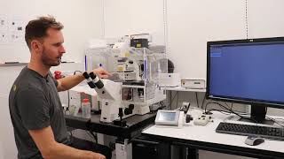 Bioimaging - Laser Scanning Confocal Microscope (LSM710)