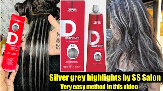 Perfect Silver Grey Highlights// Silver colour on dark hair// Dikson silver colour #silverhair