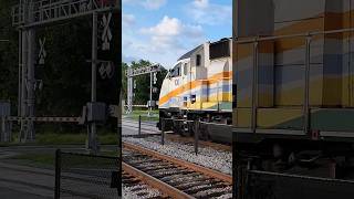 Sunrail MP32PH-Q #100 P5 Horn (Crossing Sequence) #shorts #fyp