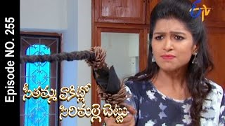 Seethamma Vakitlo Sirimalle Chettu - 29th June 2016– Full Episode No 255