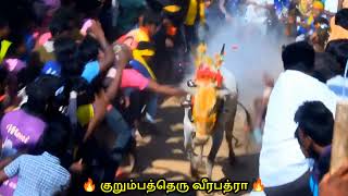 #kurmbatheru_veerabathdhra. 🔥 coming soon_💯.  💥 #jallikattu #eruthu #eruthuvidumthiruvizha #youtube