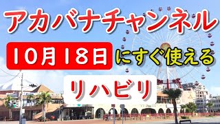 【10月18日にすぐ使えるリハビリ＆介護レク】アカバナ