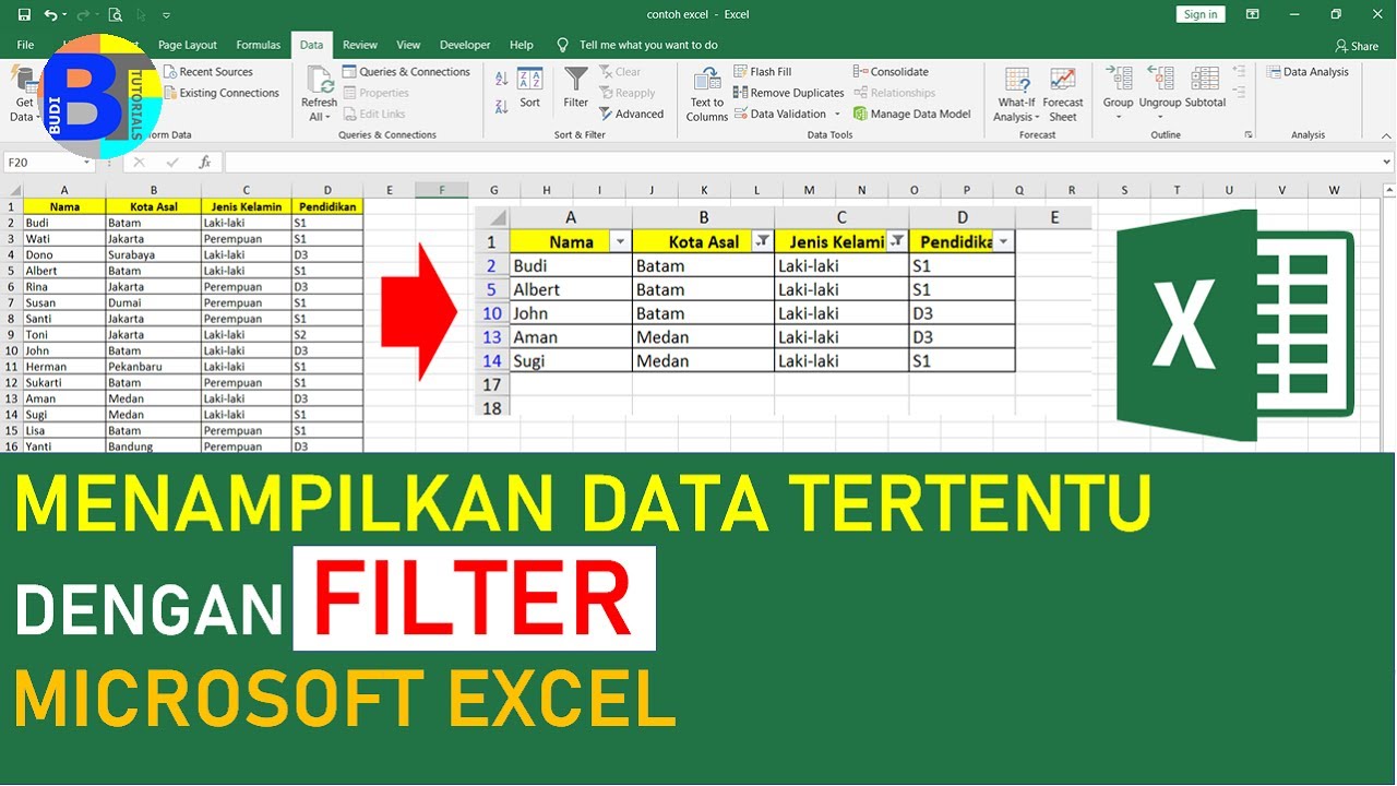 Cara Menggunakan Filter Untuk Menampilkan Data Tertentu Di Excel - YouTube