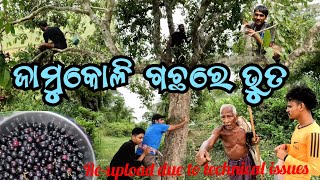 ଜାମୁକୋଳି ଗଛରେ ଭୁତ || ଜାମୁକୋଳି ଖାଇବା ହେଲା କାଳ || Village funny life//village vlogs//odia vlogs