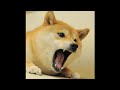 Doge gets killed by a smoker