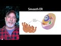 Eukaryotes Part 2:   Defining features and the endomembrane system