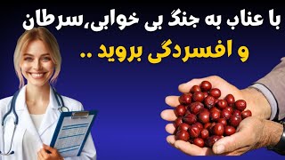 خواص و فواید عناب  | 16 خاصیت اعجاب انگیز عناب،عوارض و تداخلات