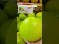 $4.99 FRESH GREEN POMELO #shorts #asmr #fruit #pomelo #citrus #viral #trending #tropical #sweet