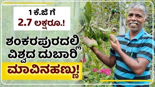 ಜಪಾನ್ ದೇಶದ ದುಬಾರಿ ಮಾವಿನ ಹಣ್ಣು ಬೆಳೆದ ಉಡುಪಿಯ ರೈತ | Udupi farmer who grew expensive mangoes from Japan