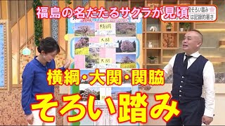 【福島の桜 横綱・大関・関脇そろい踏み】防災ラボ（テレポートプラス４月１２日放送）