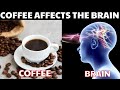 Drink One Cup of Coffee a Day, How does It Affect the Brain?