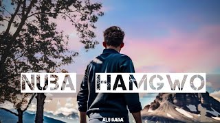 Alu Baba - NUBA HAMGWO ft. Ash Lrb (Bodo Song)