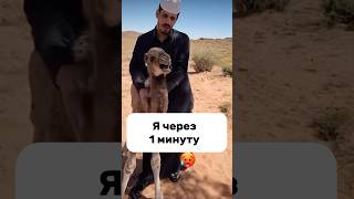 Когда решил начать бегать 😂😂 #прикол #жиза #юмор #shortvideo #comedy