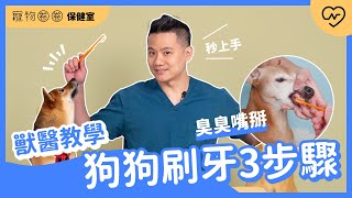 【狗狗刷牙教學】臭臭嘴掰掰～刷出潔白美牙明星狗！讓狗狗從此愛上刷牙3步驟 ｜寵物圈圈保健室Ep.7 妞新聞