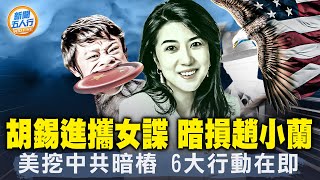 中情局秘密行動 ，打習打共；暗損趙小蘭，胡錫進攜女諜恐嚇誰？燕郊慘案，外國人不准拍；不刪帖！大陸網友拒警察要求；在美間諜慘了，6大行動將挖根；｜#新聞五人行 3/16/2024