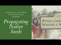 Propagating Native Seeds with Pinelands Nursery