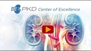 What Causes Polycystic Kidney Disease (PKD)?
