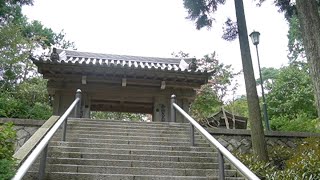 無職が摩耶天上寺からライブ配信