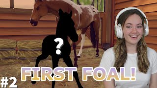 OUR FIRST FOAL! Rags to Riches Rival Stars - Episode #2 | Pinehaven