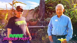 WHAT is the BEST SOIL for DRAGON FRUIT? / INTERVIEW with Gary Matsuoka Owner of LAGUNA HILLS NURSERY