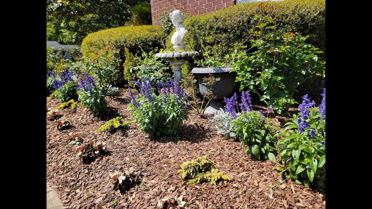 How I Design My Rose Bed In Hot And Humid Southern Alabama Garden