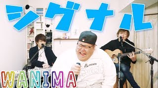 WANIMA /「シグナル」 covered by LambSoars \u0026 恭一郎