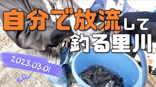 ●4K●自分で放流してすぐ釣り開始●渓流釣り　餌釣り　アマゴ釣り　４K　里川釣り　2023年 Daiwa 雪渓