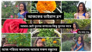 আমার ছোট ফুলের বাগানের কিছু ফুলের সাথে পরিচয় করালাম আমার সকল বন্ধুদের#my daily vlog#subscribe#