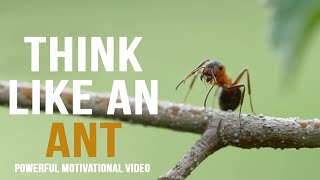 THINK LIKE AN ANT | Motivational speech | Motivational Video | Morning Motivation | Motivation HUAL