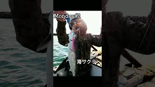 Monday #2 海サクラマス ボートキャスティング!! ジギング!! 海では釣ってOK😀 #shorts