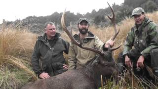 Sika stag Monster Giant 200 inchs with Brian Elwarth